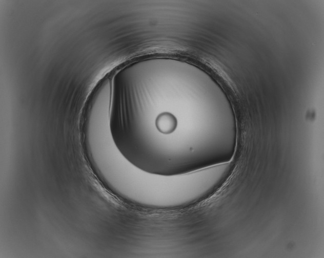 X0000090421026200708031101