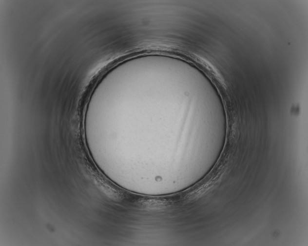 X0000090421027200708031101