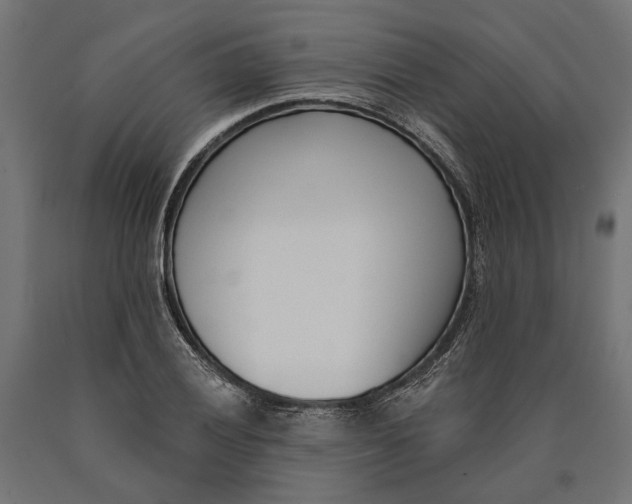 X0000090421028200708031101