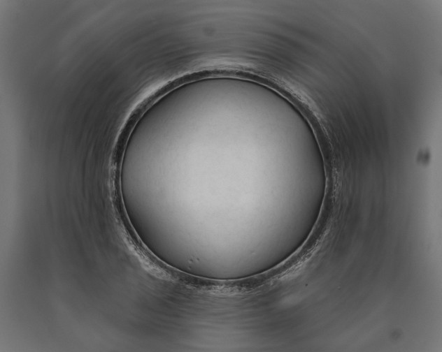 X0000090421029200708031101