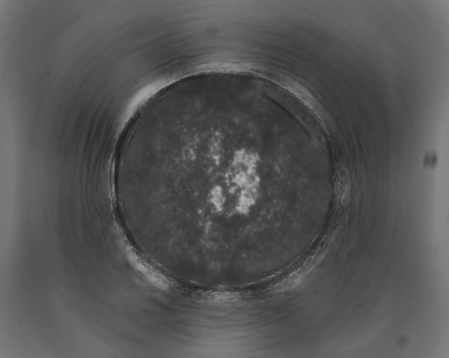 X0000090421030200708031101