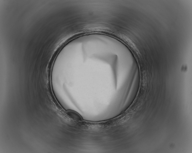 X0000090421031200708031101