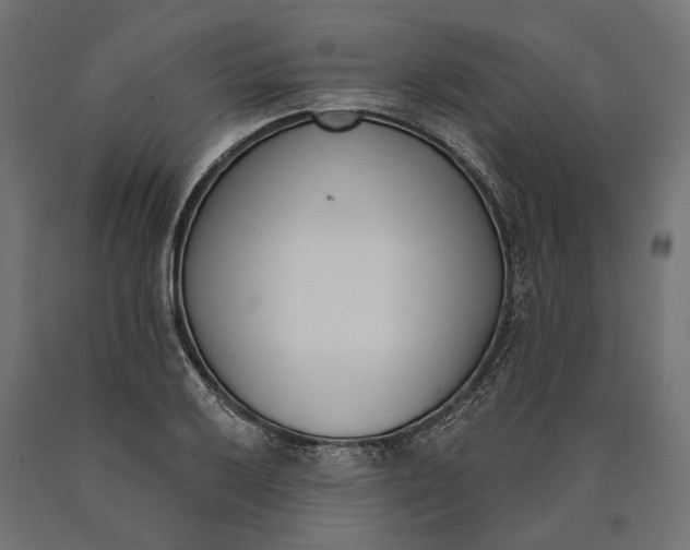 X0000090421032200708031101