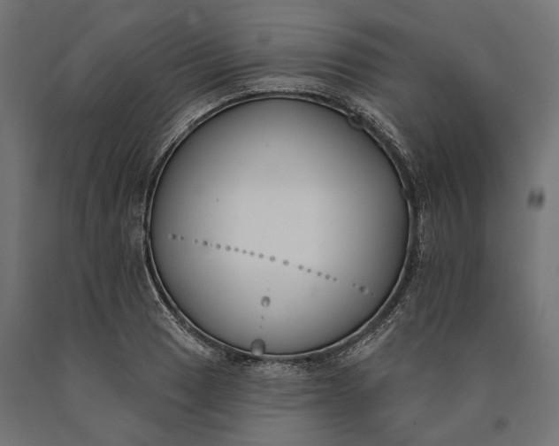 X0000090421033200708031101