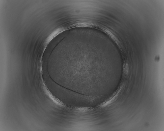 X0000090421034200708031101