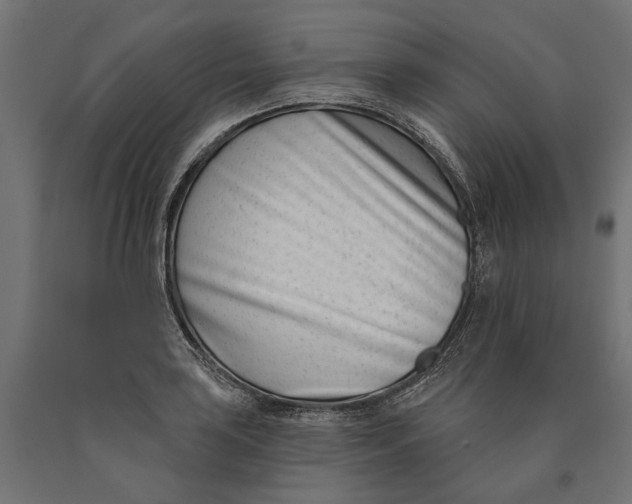 X0000090421035200708031101