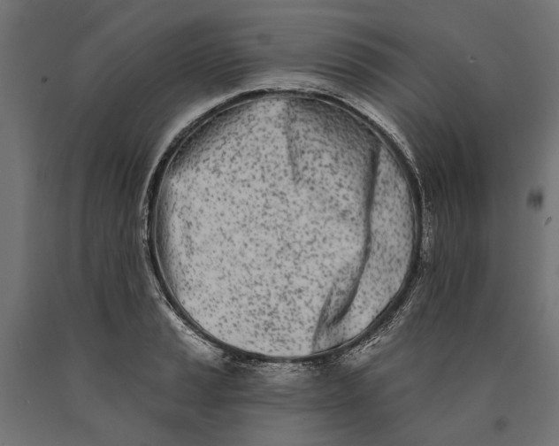 X0000090421037200708031101