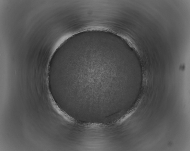 X0000090421038200708031101