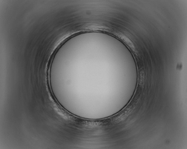 X0000090421039200708031101