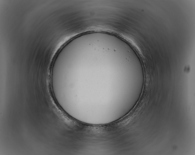 X0000090421040200708031101