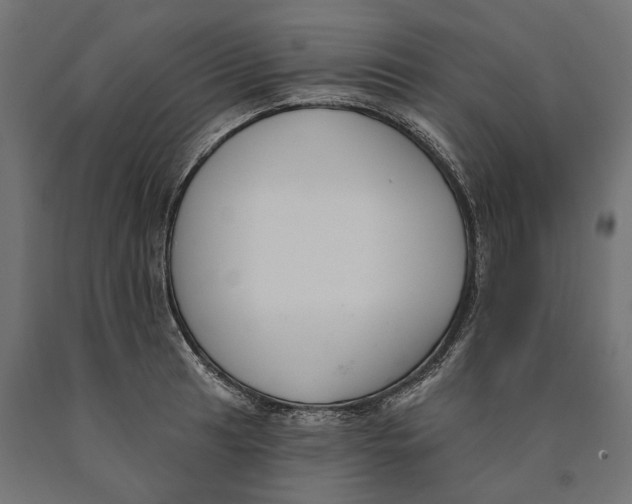 X0000090421041200708031101