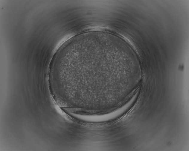 X0000090421042200708031101