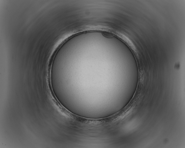 X0000090421043200708031101