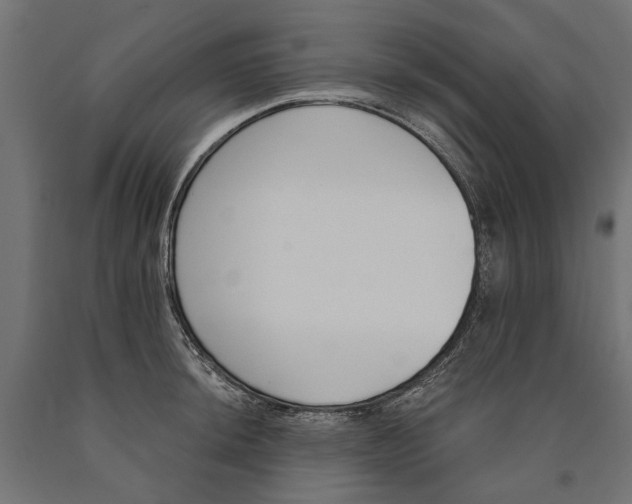 X0000090421044200708031101