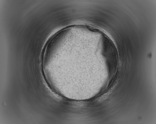 X0000090421045200708031101