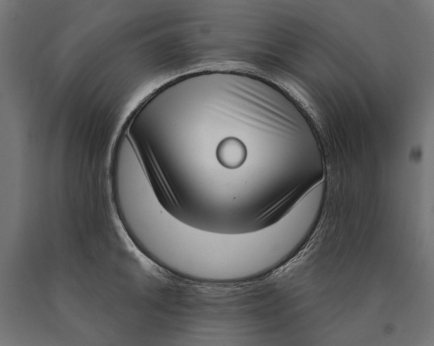 X0000090421046200708031101