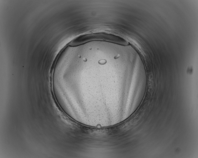 X0000090421047200708031102