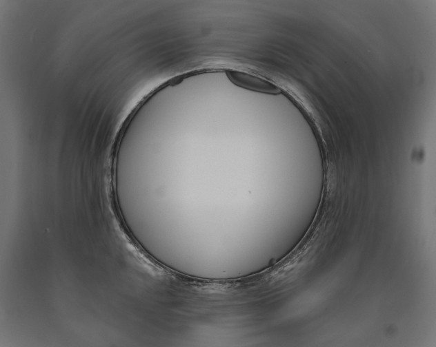 X0000090421048200708031102