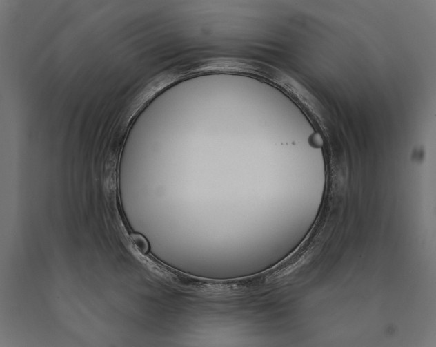 X0000090421049200708031102