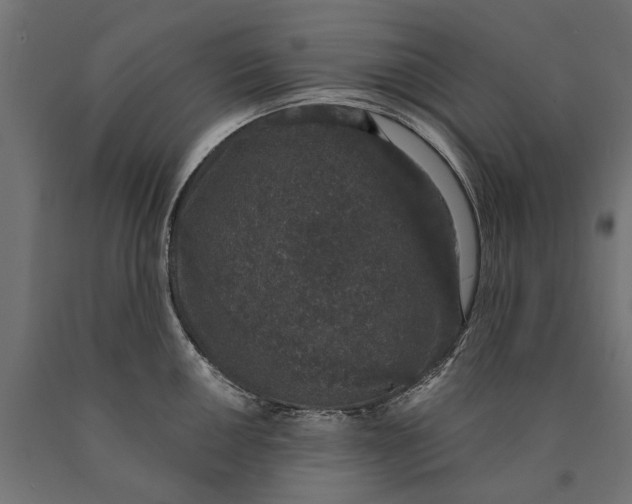 X0000090421050200708031102