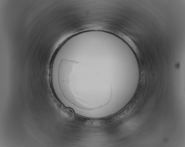 X0000090421051200708031102