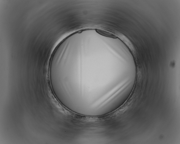 X0000090421052200708031102