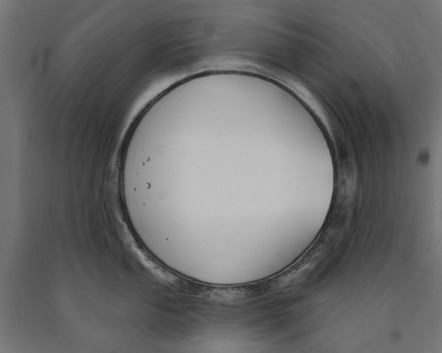 X0000090421053200708031102