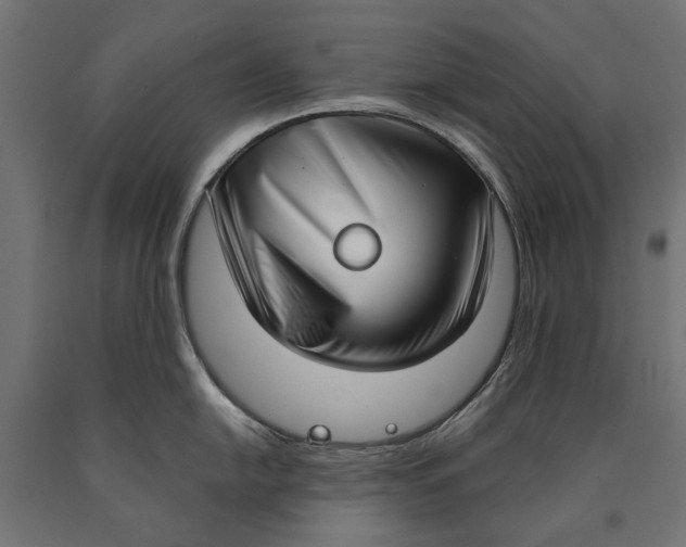 X0000090421054200708031102