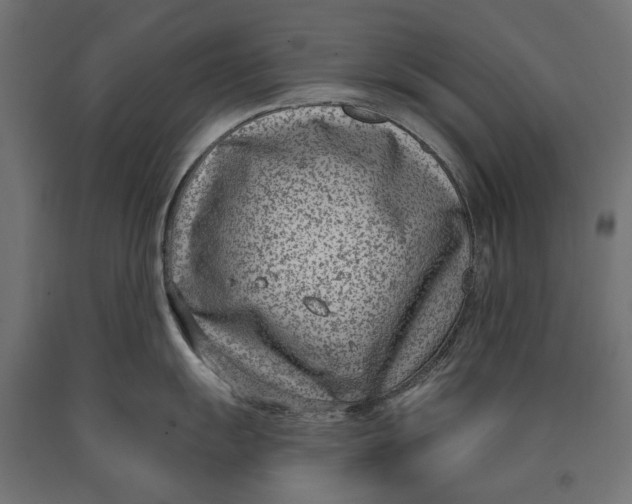 X0000090421055200708031102