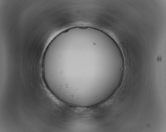 X0000090421056200708031102