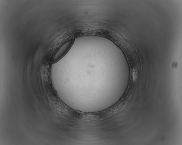 X0000090421059200708031101