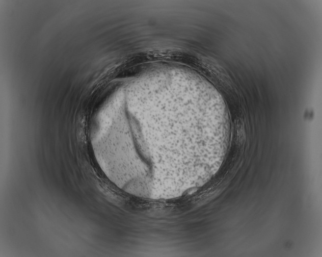 X0000090421060200708031101