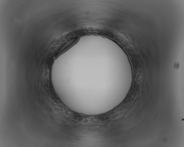 X0000090421061200708031101