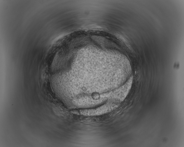 X0000090421063200708031101