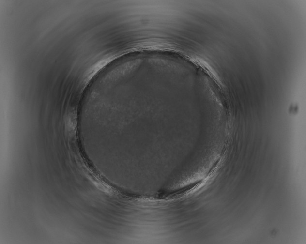 X0000090421065200708031101