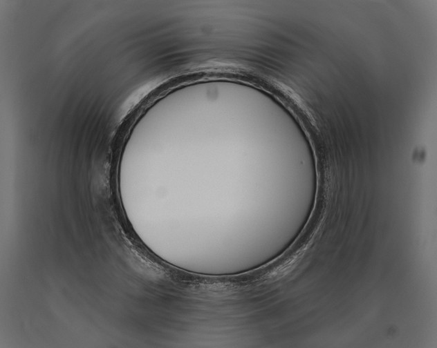 X0000090421066200708031101