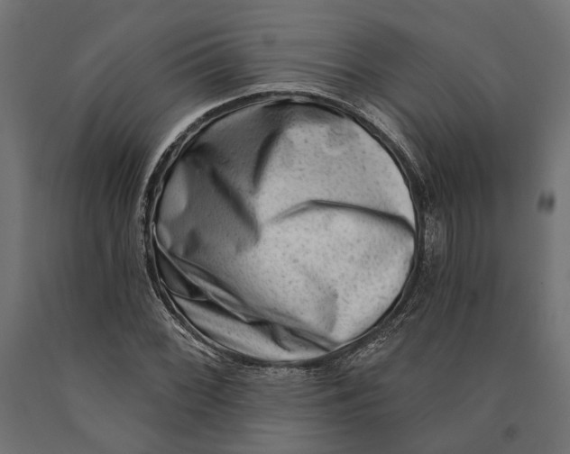 X0000090421068200708031101