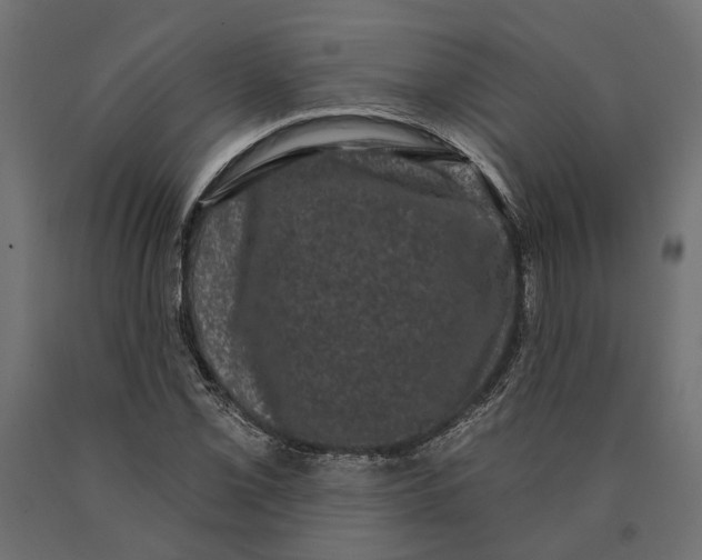 X0000090421069200708031101