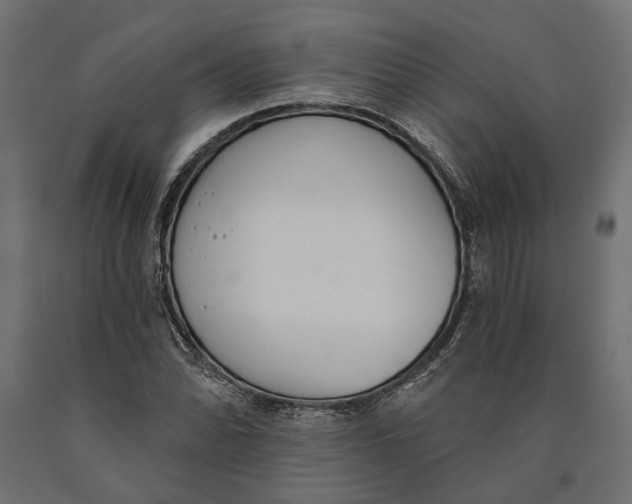 X0000090421070200708031101