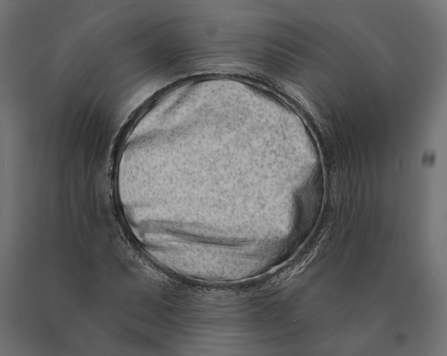 X0000090421071200708031101