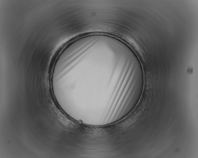 X0000090421072200708031101