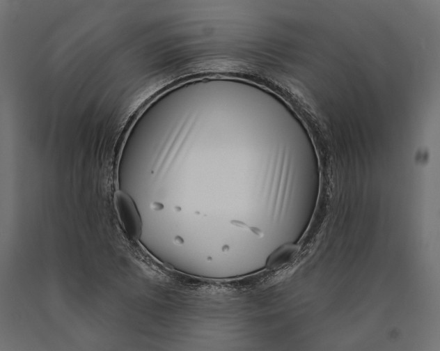 X0000090421073200708031101