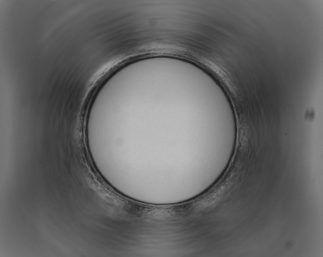 X0000090421074200708031101