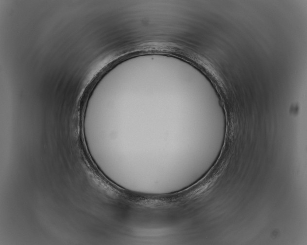 X0000090421075200708031101