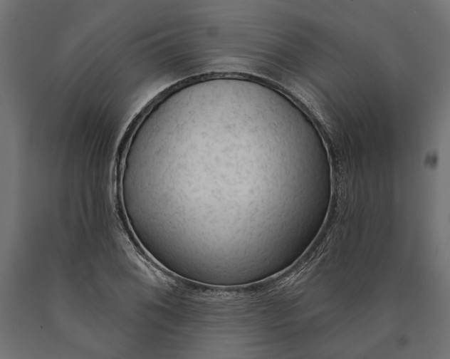 X0000090421076200708031101