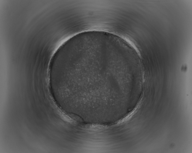 X0000090421077200708031101