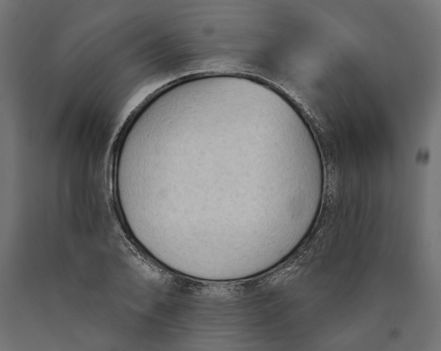 X0000090421078200708031101