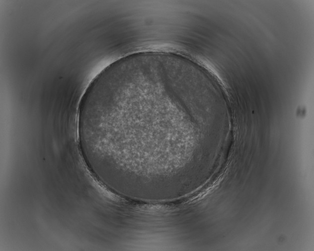 X0000090421079200708031100