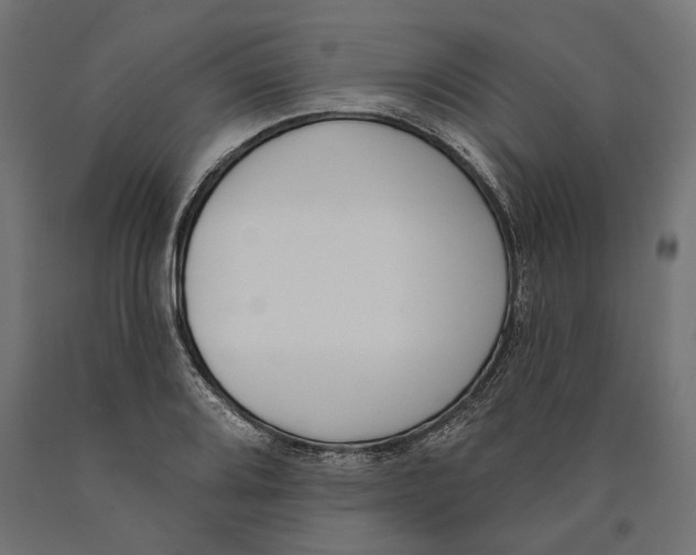 X0000090421080200708031100