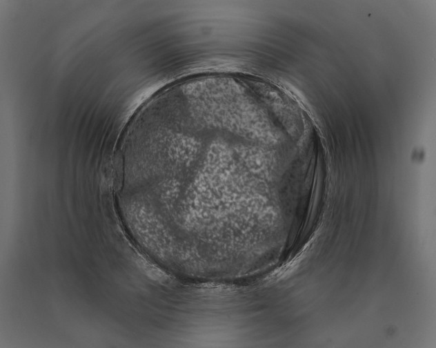 X0000090421081200708031100